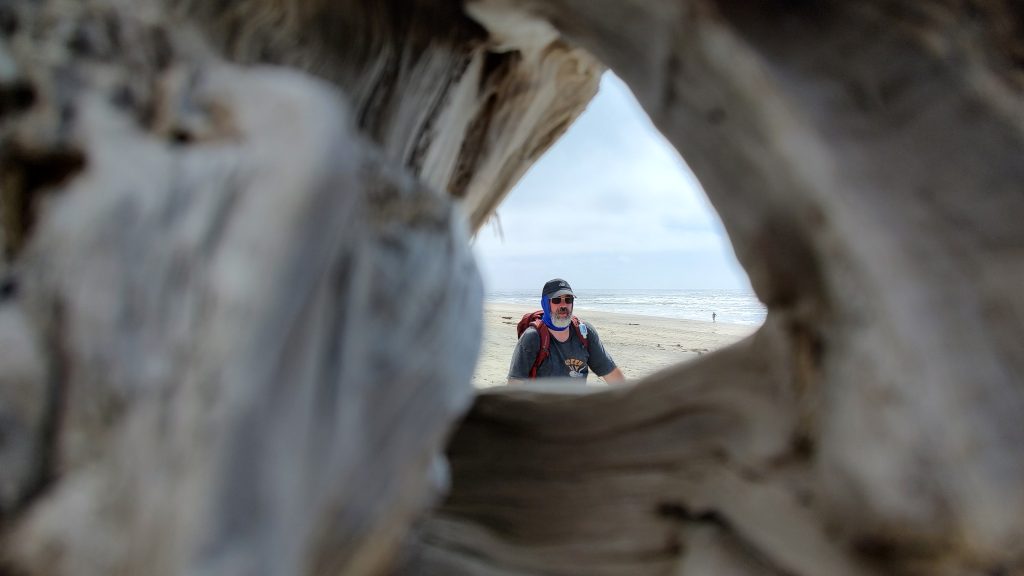 A person views a beach framed by the hollow of a weathered driftwood log, creating a natural viewfinder. The beach extends beyond the frame, with a cloudy sky overhead.