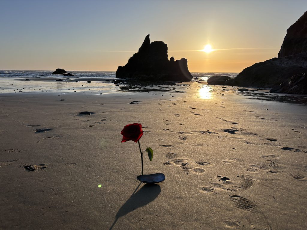 A red rose is stuck upright into the sand, against the backdrop of an Oregon beach sunset. 